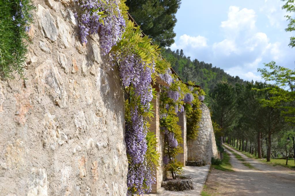 Agriturismo Istrice Innamorato กัมเปลโล ซุล กลีตุนโน ภายนอก รูปภาพ