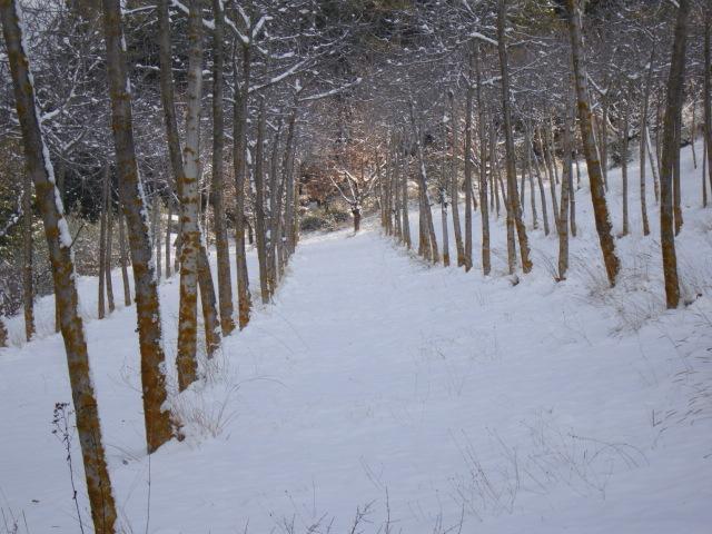 Agriturismo Istrice Innamorato กัมเปลโล ซุล กลีตุนโน ภายนอก รูปภาพ